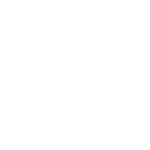 Rat Or Mouse Removal